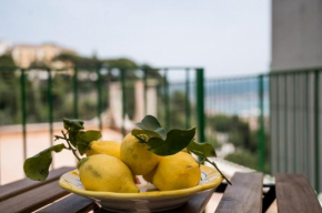 Terrazza Mediterranea
